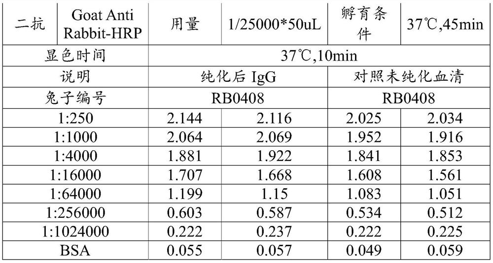 Affinity chromatography column and preparation method and application thereof