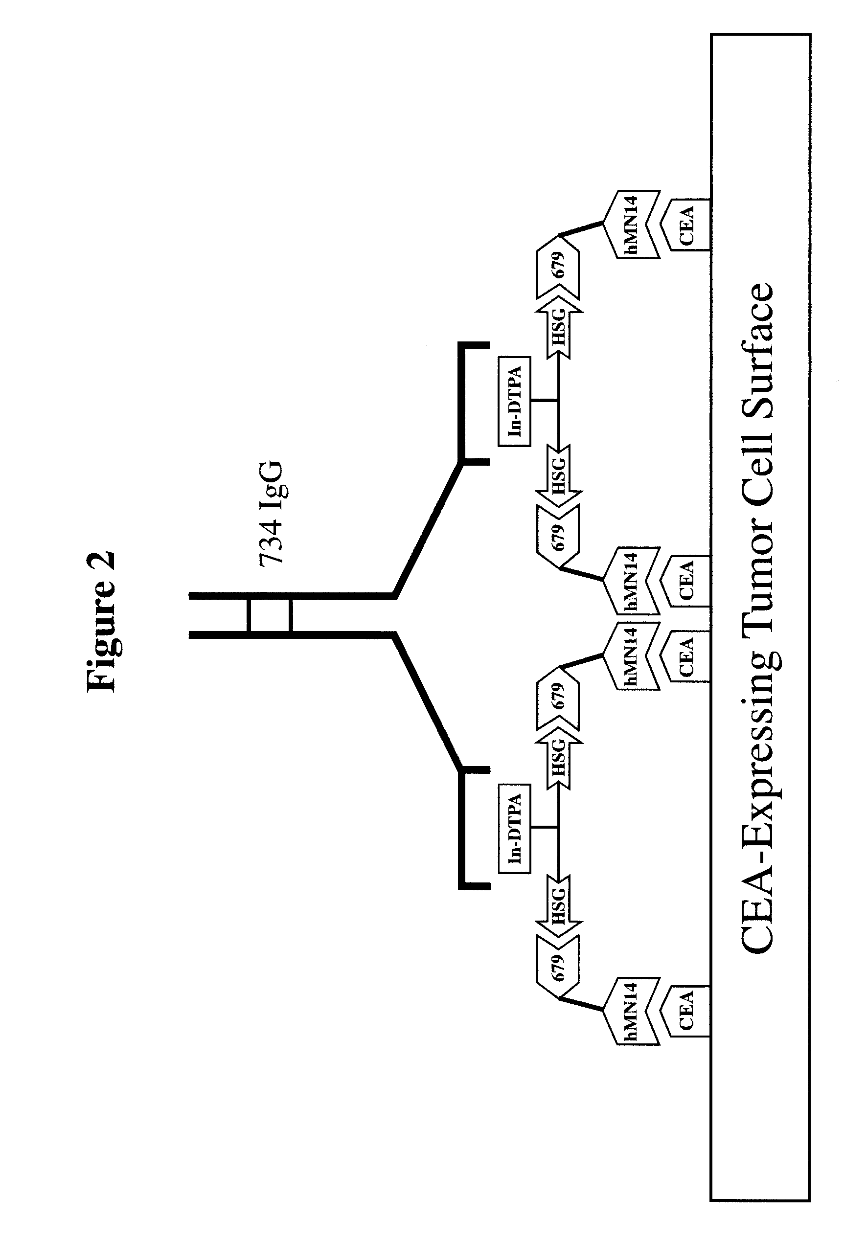 Methods and Compositions for Administering Therapeutic and Diagnostic Agents