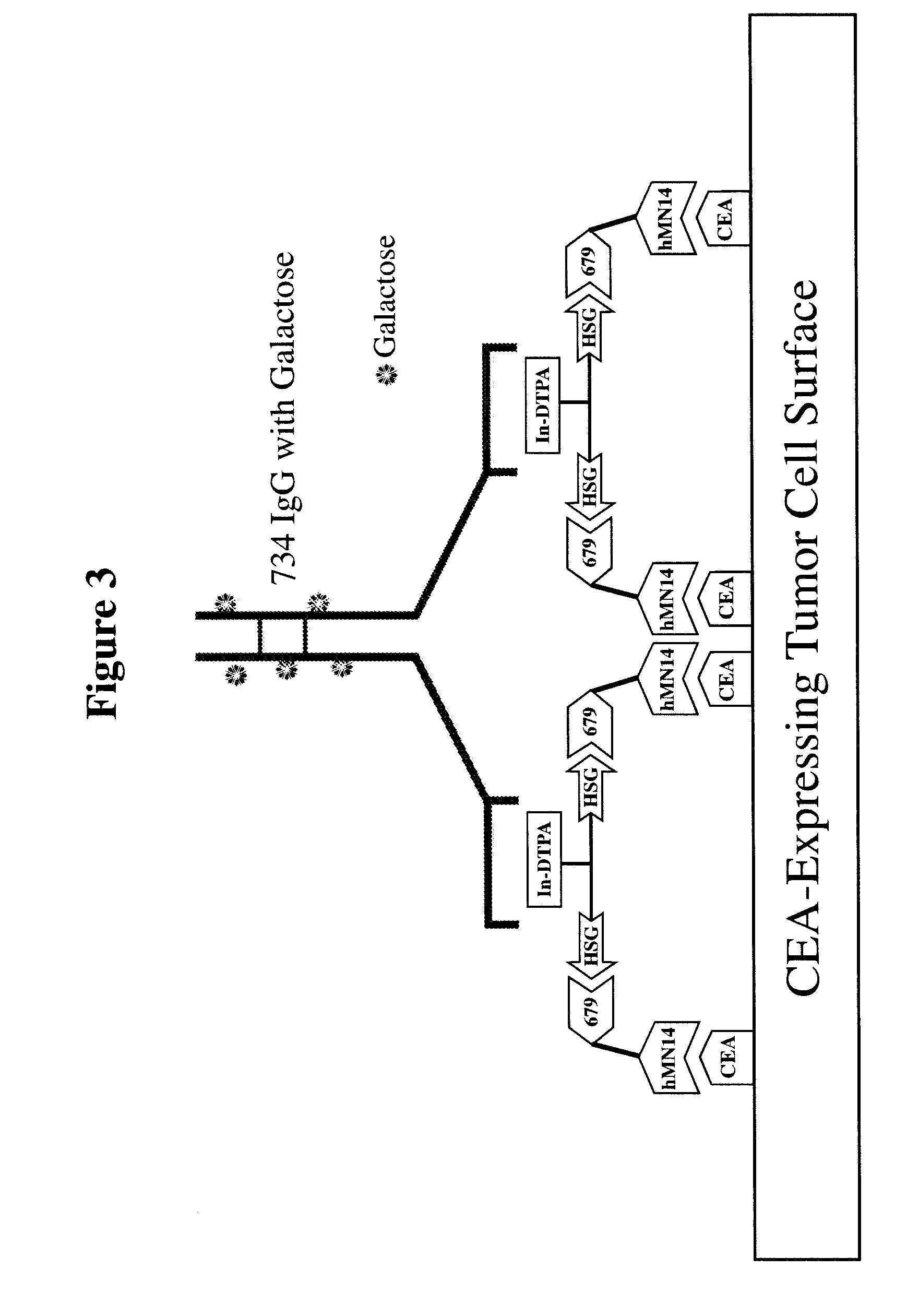 Methods and Compositions for Administering Therapeutic and Diagnostic Agents