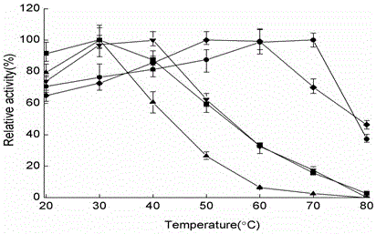 A group of amino acid sequences that can improve the heat-resistant temperature and thermostability of SOD and its application