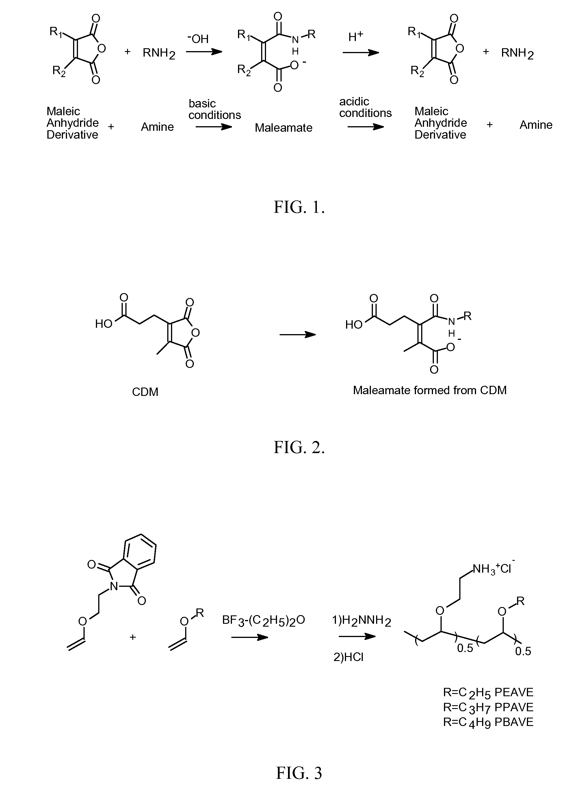 Endosomolytic Polymers