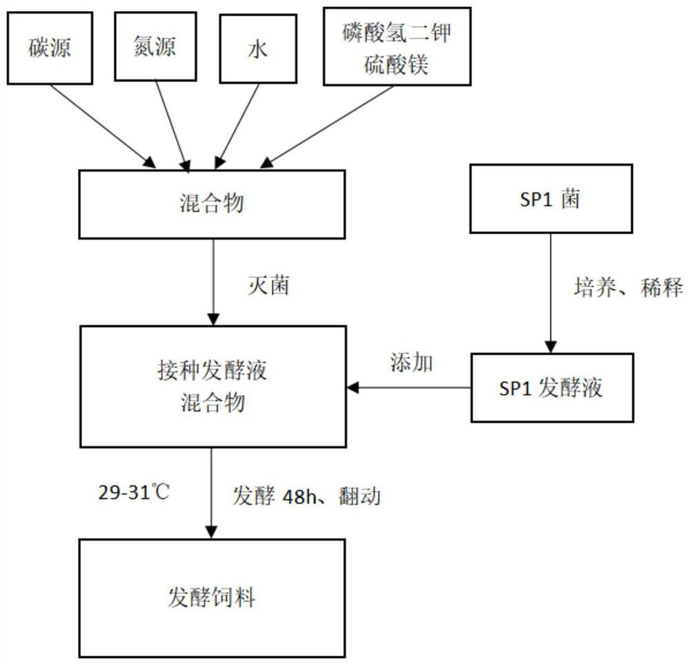 Fermented feed rich in antibacterial substances and preparation method of fermented feed