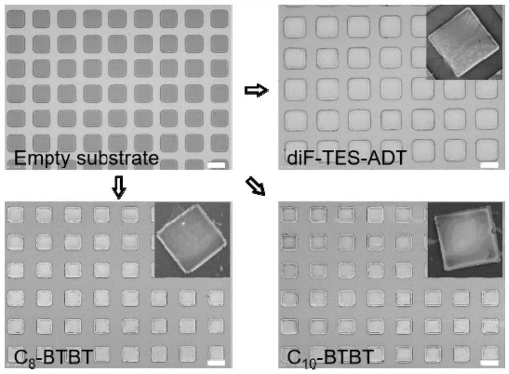 Patterned preparation method of two-dimensional molecular crystals based on double scraper technology