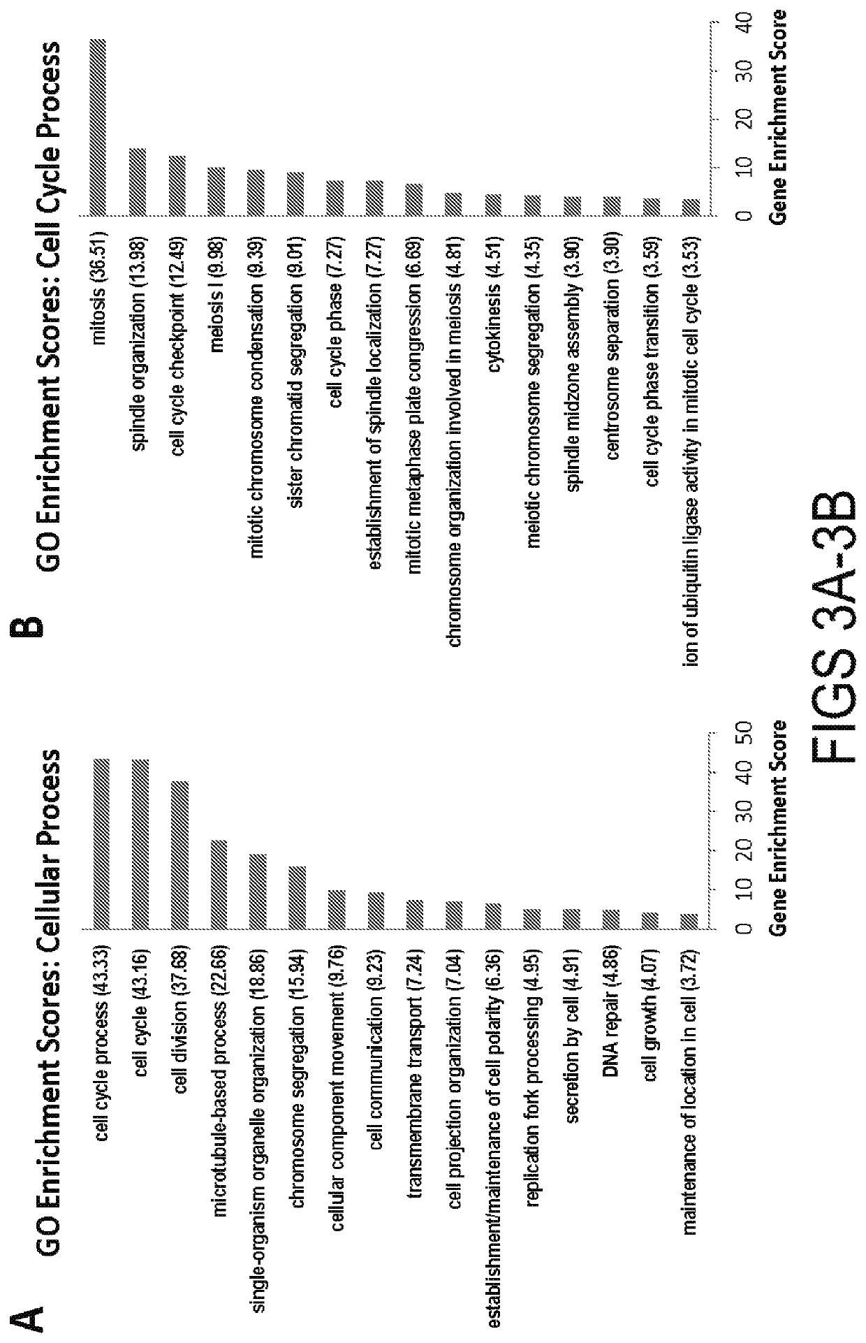 Vectors and methods for regenerative therapy