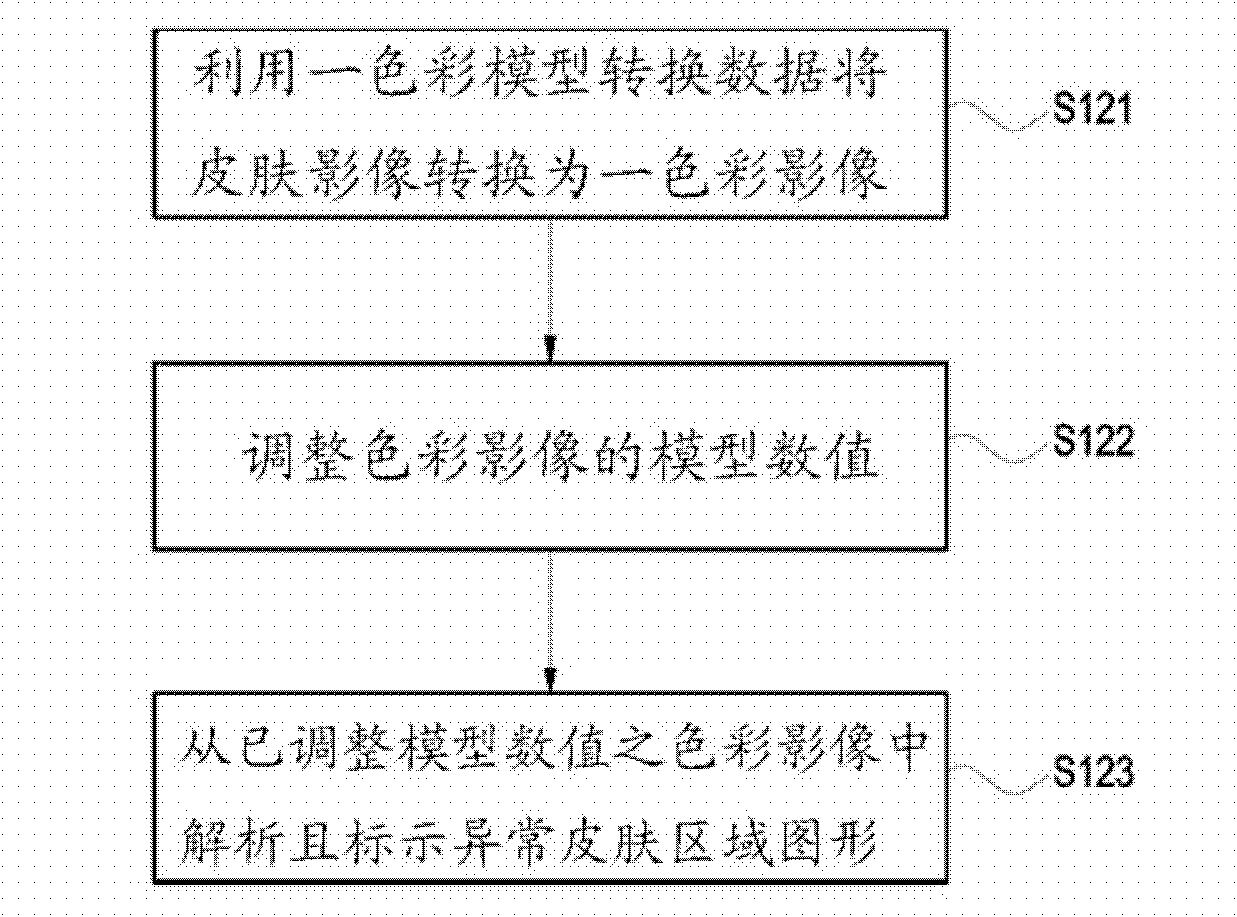 Abnormal skin area computing system and computing method