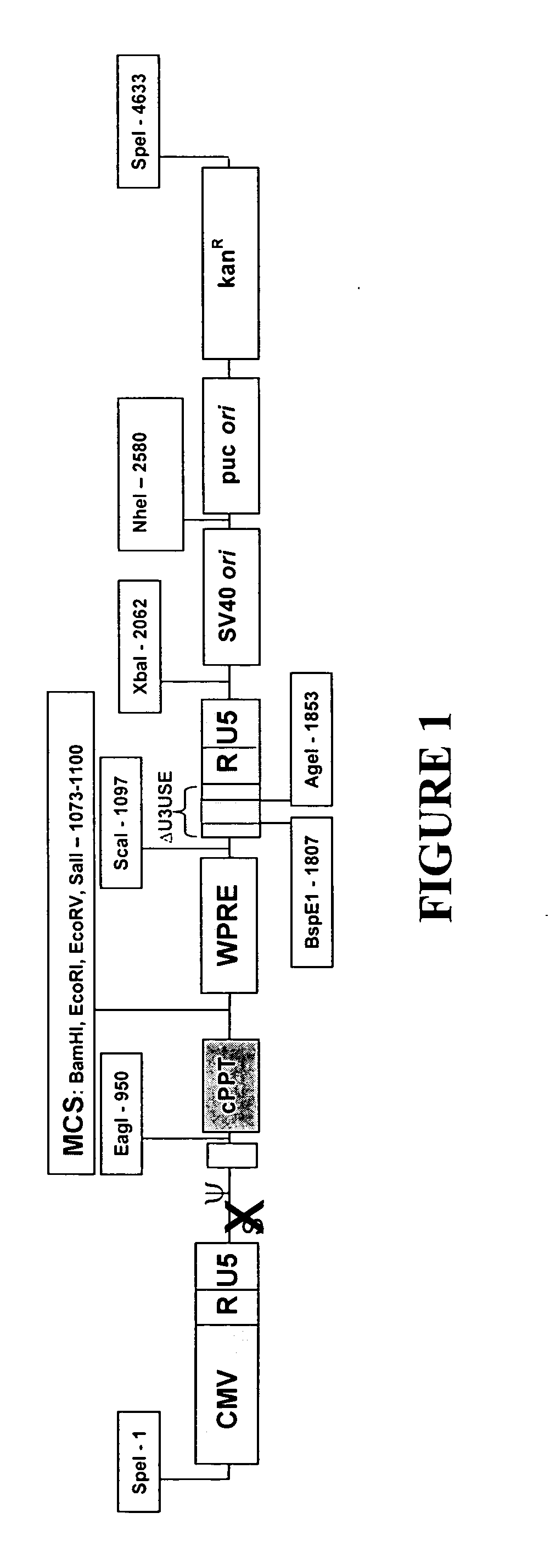 Minimal lentiviral vector system