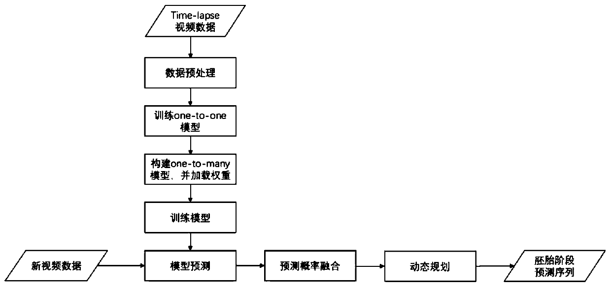 Embryo developmental stage classification method in embryo time sequence image