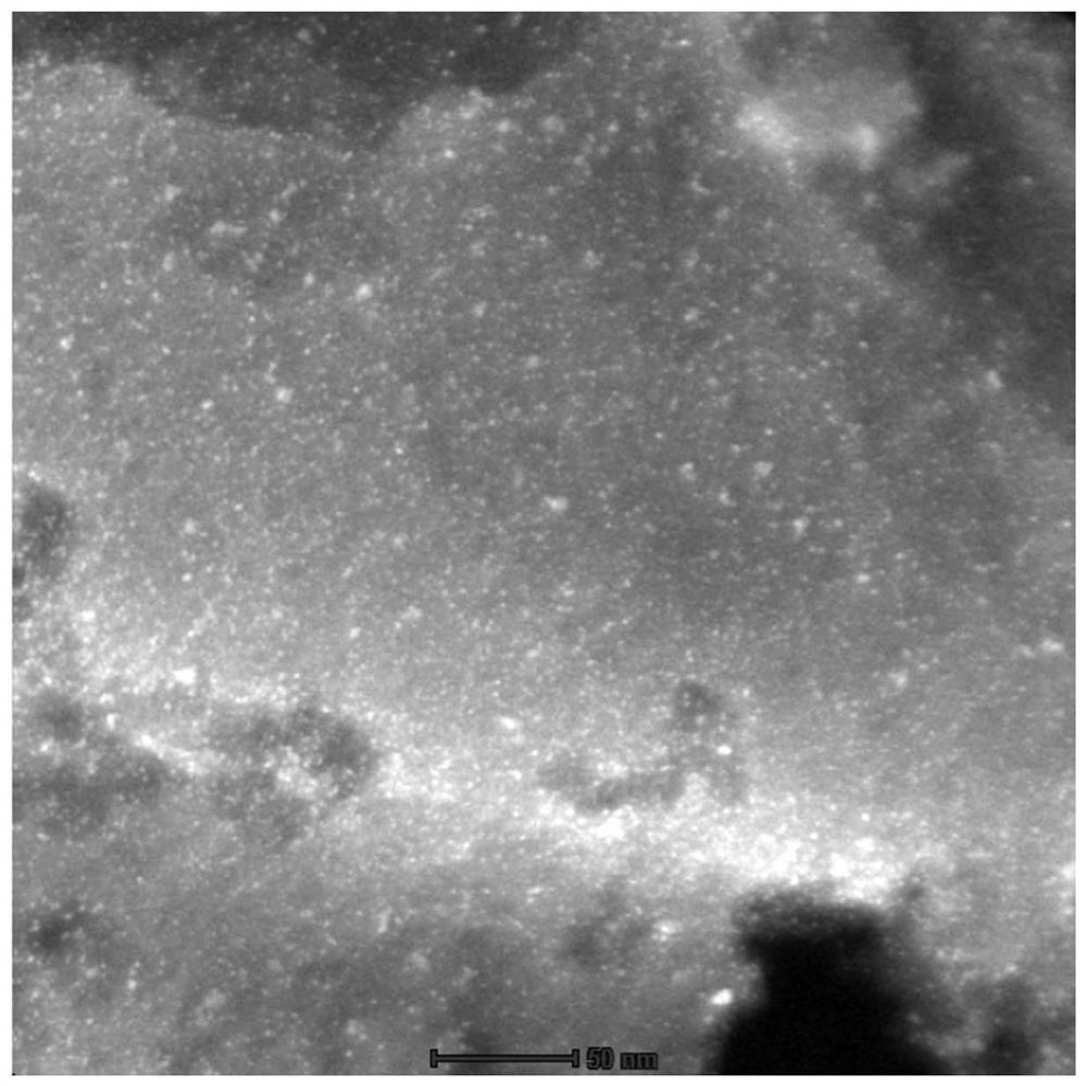 A kind of nano ruthenium carbon catalyst and its preparation method and application