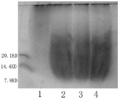 Method for extracting sericin from refined reeling mill silk liquid and ultrafiltration membrane device