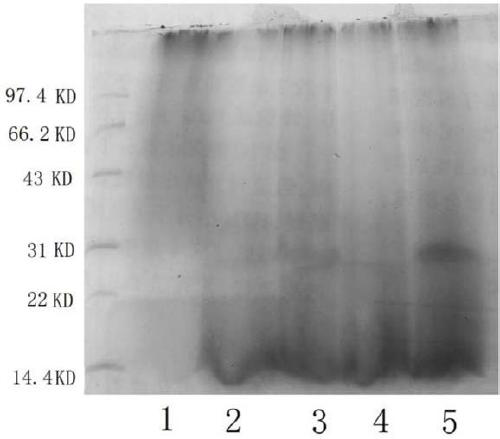 Method for extracting sericin from refined reeling mill silk liquid and ultrafiltration membrane device