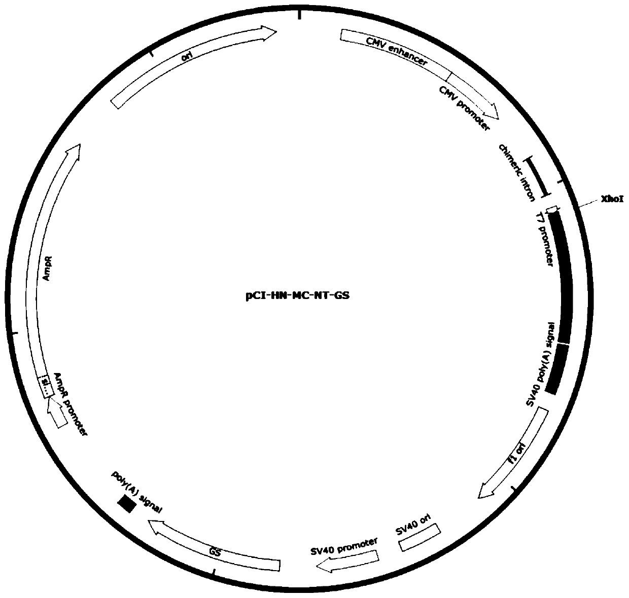 Novel genetic engineering subunit vaccine for avian Newcastle disease viruses