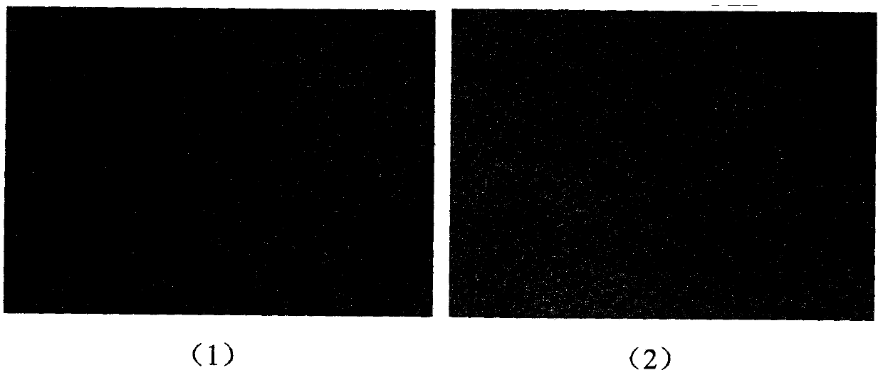 Preparation and Application of Lipid Calcium Phosphate Nanoparticle Encapsulating Cell Growth Factor