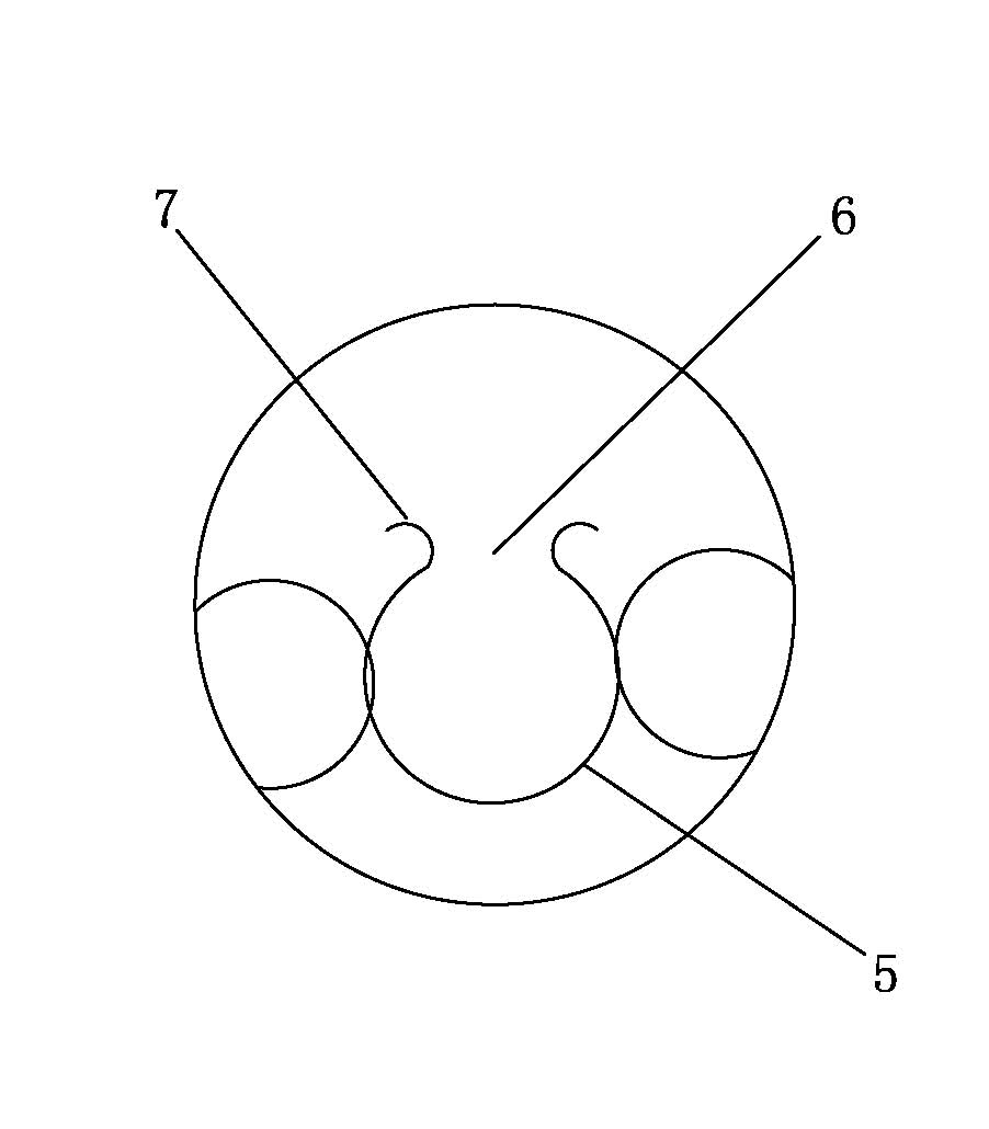 Assembly and disassembly tool for locomotive brake shoe