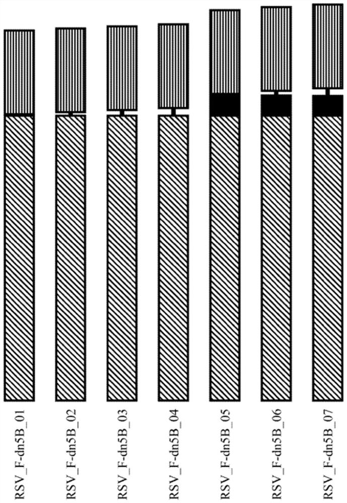 SELF-ASSEMBLY PROTEIN NANOSTRUCTURES DISPLAYING PARAmyxoVIRUS AND/OR