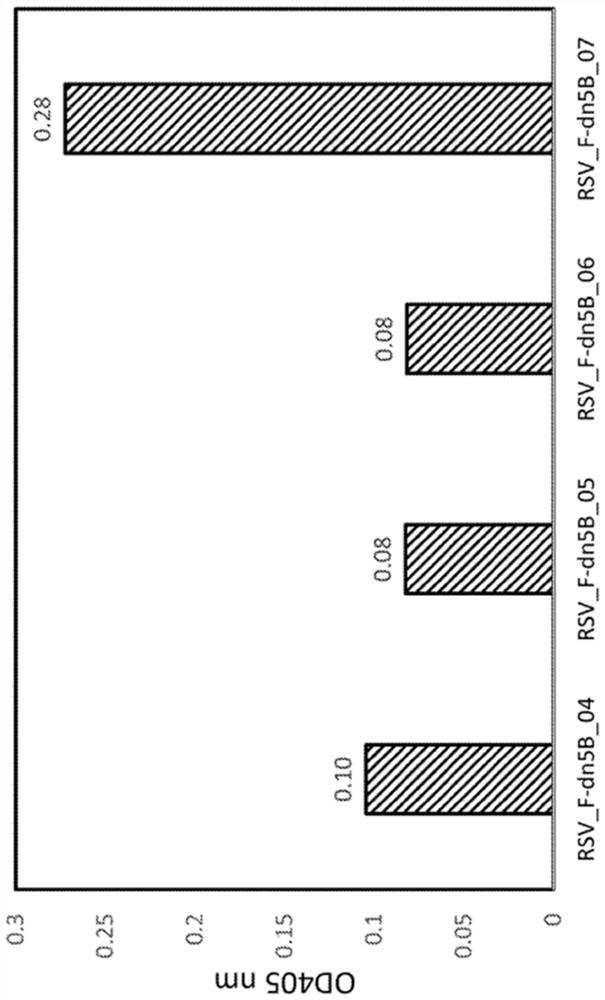 SELF-ASSEMBLY PROTEIN NANOSTRUCTURES DISPLAYING PARAmyxoVIRUS AND/OR