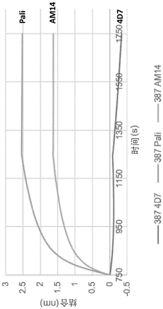 SELF-ASSEMBLY PROTEIN NANOSTRUCTURES DISPLAYING PARAmyxoVIRUS AND/OR