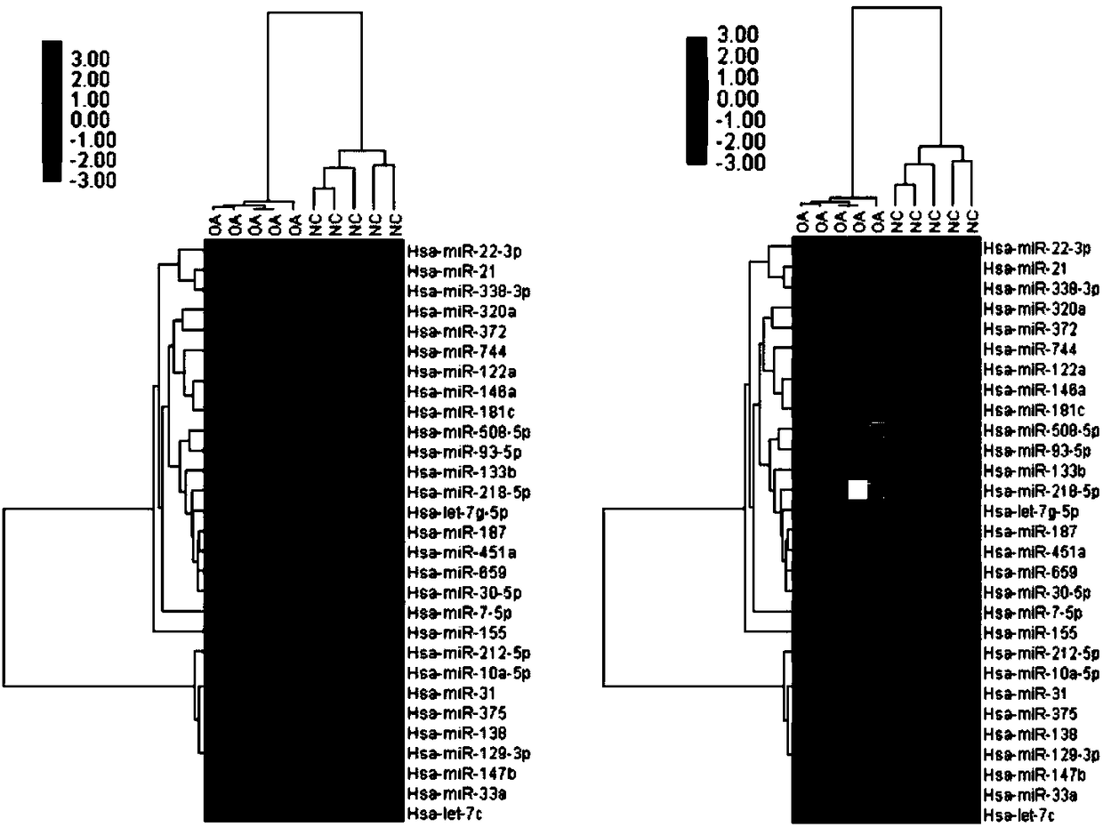 Application of miR-21 and target gene thereof in preparation of reagents or drugs diagnosing and/or controlling osteoarthritis