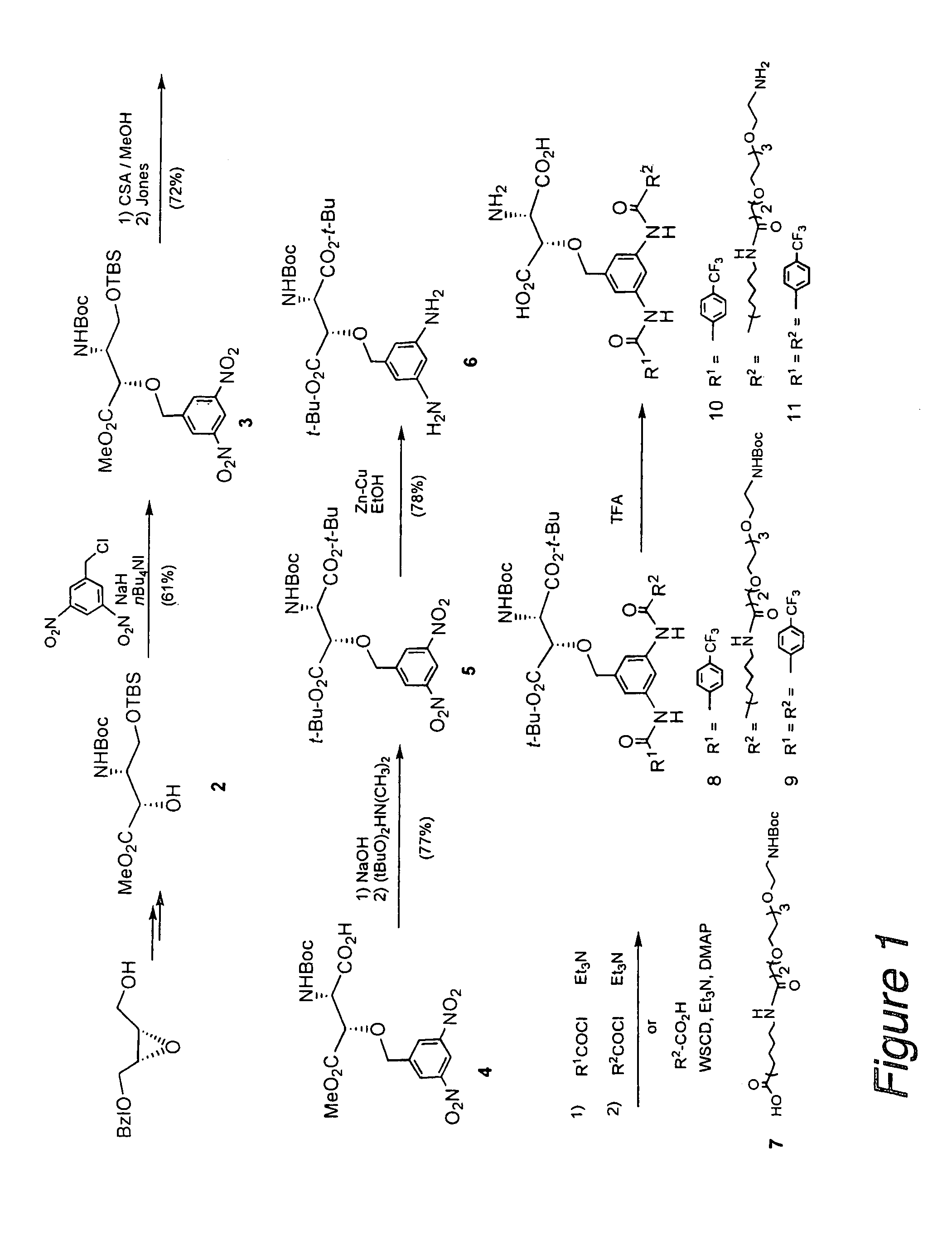 β-Benzyloxyaspartic acid derivatives having two substituents on their benzene rings