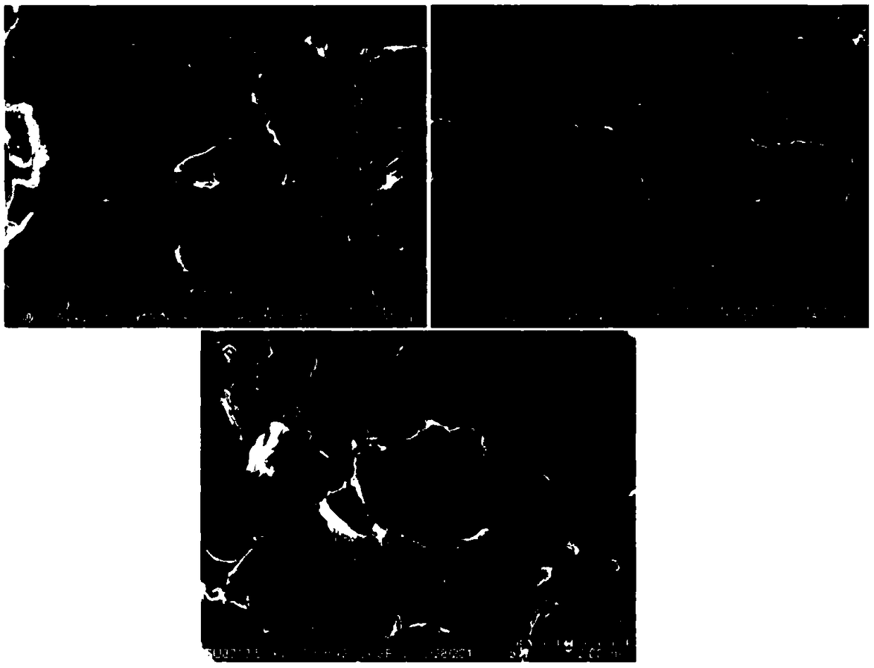 Preparation method of silicon-carbon anode material and lithium ion battery