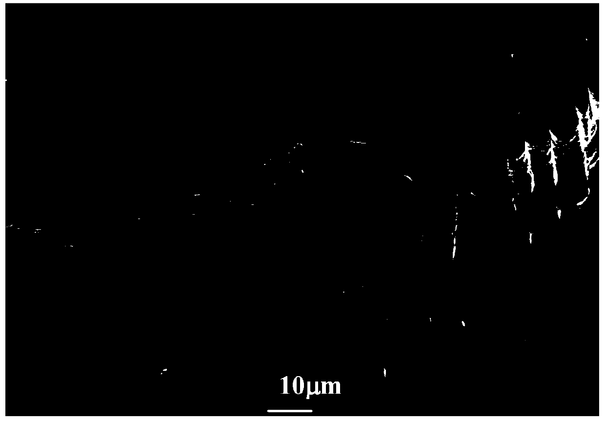 Ablation-resistant lightweight heatproof integrated composite material with thermal insulation function and preparation method thereof