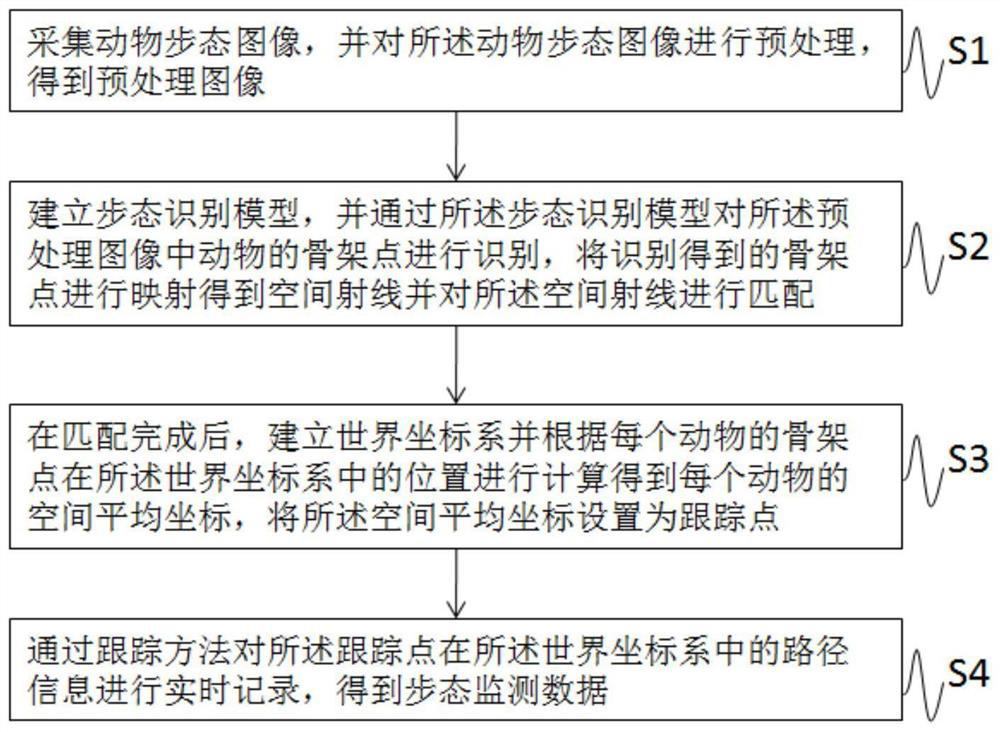 A gait monitoring method and system based on an animal treadmill