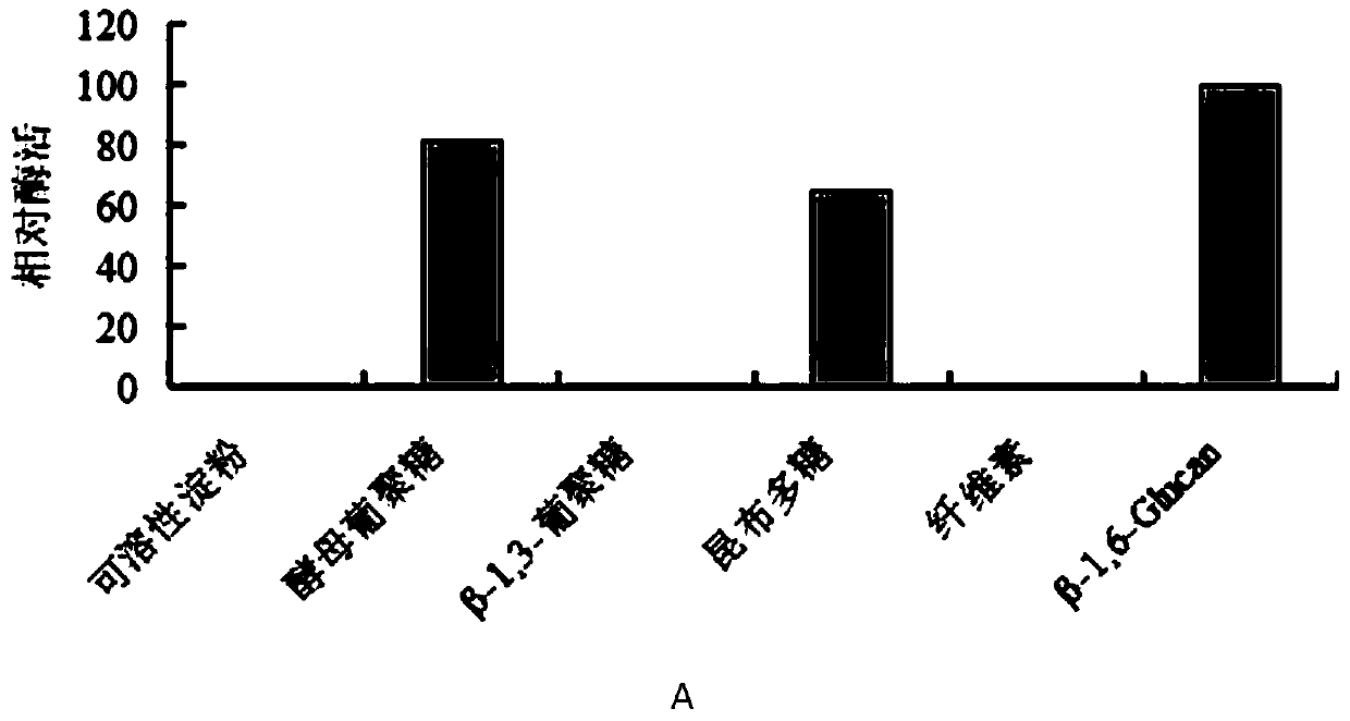 A kind of β-1,6-glucanase and its coding gene and application