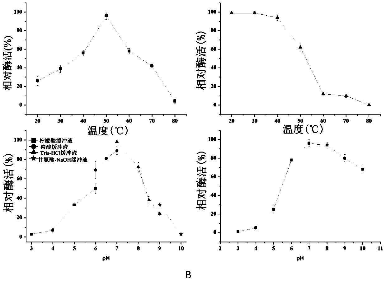 A kind of β-1,6-glucanase and its coding gene and application