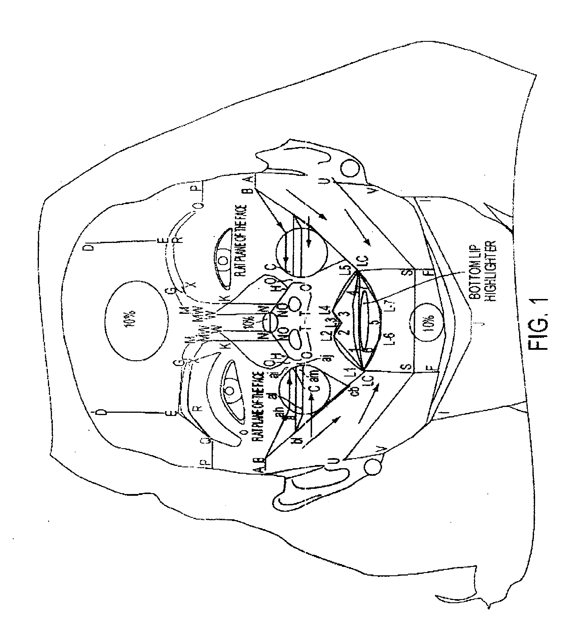 Method, System, and Computer Program Product for Providing Cosmetic Application Instructions Using Arc Lines