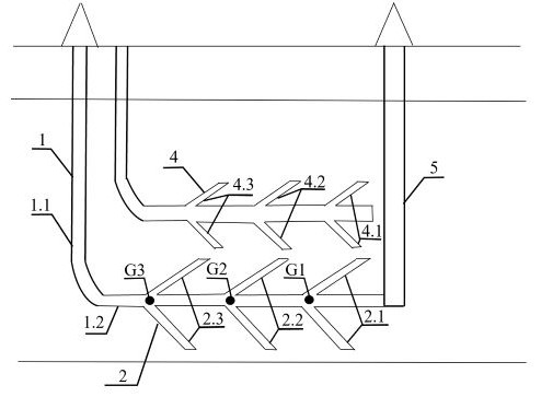 Method for improving development of coal underground gasification gas cavity by applying double-pinniform horizontal well