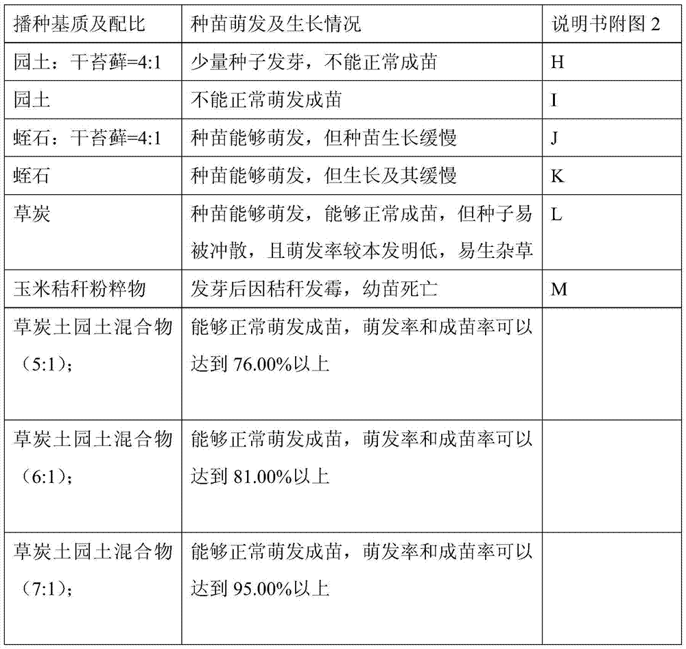 Seed sowing and seedling breeding method of azaleas