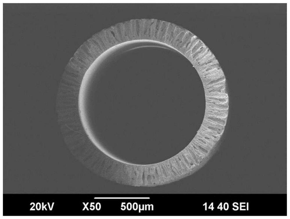 A porous separation membrane for zinc-bromine flow battery and its preparation method