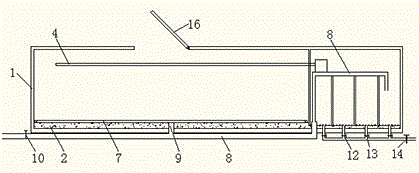 Culture system utilizing water circulation box