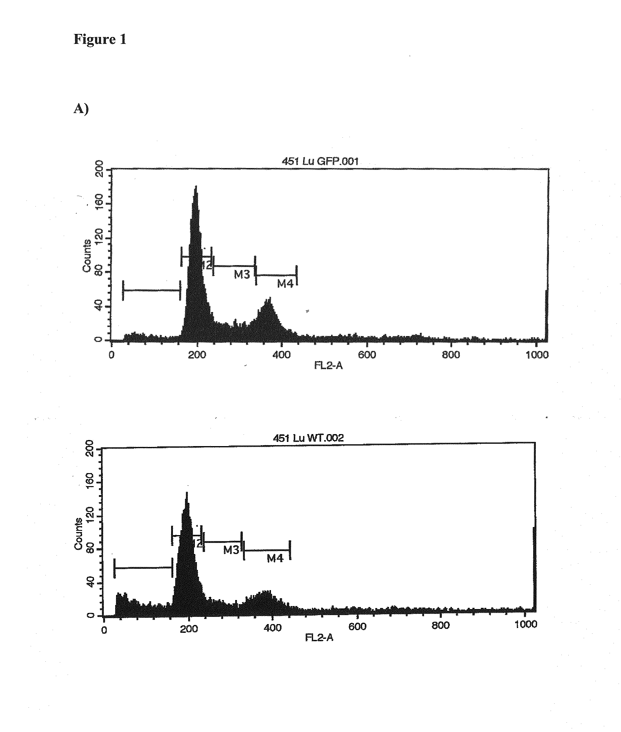 Cancer gene therapy using nucleic acids encoding us28 and g-protein