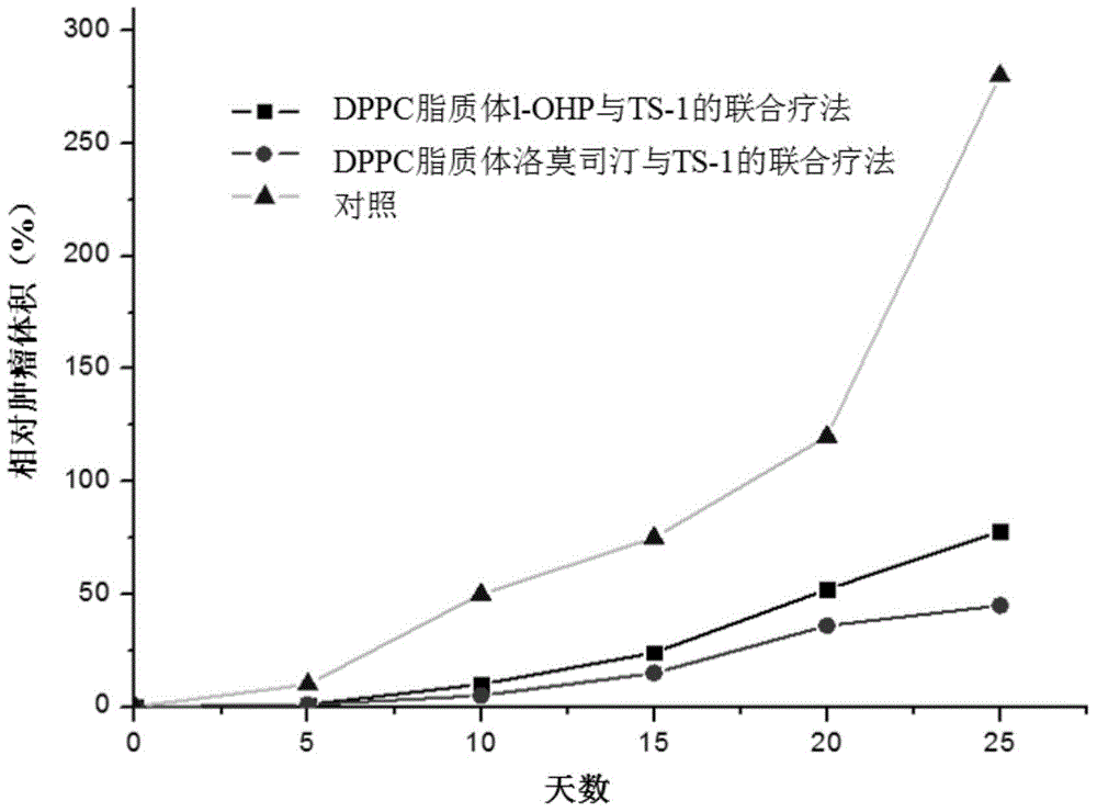 Anti-tumor effect enhancer and anti-tumor preparation