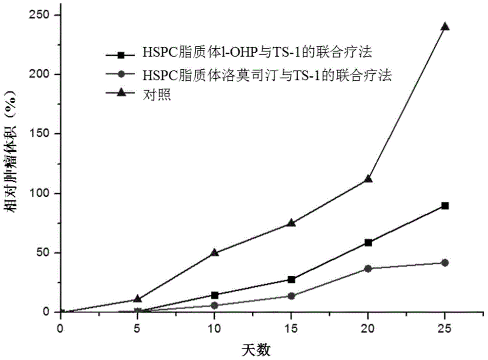 Anti-tumor effect enhancer and anti-tumor preparation