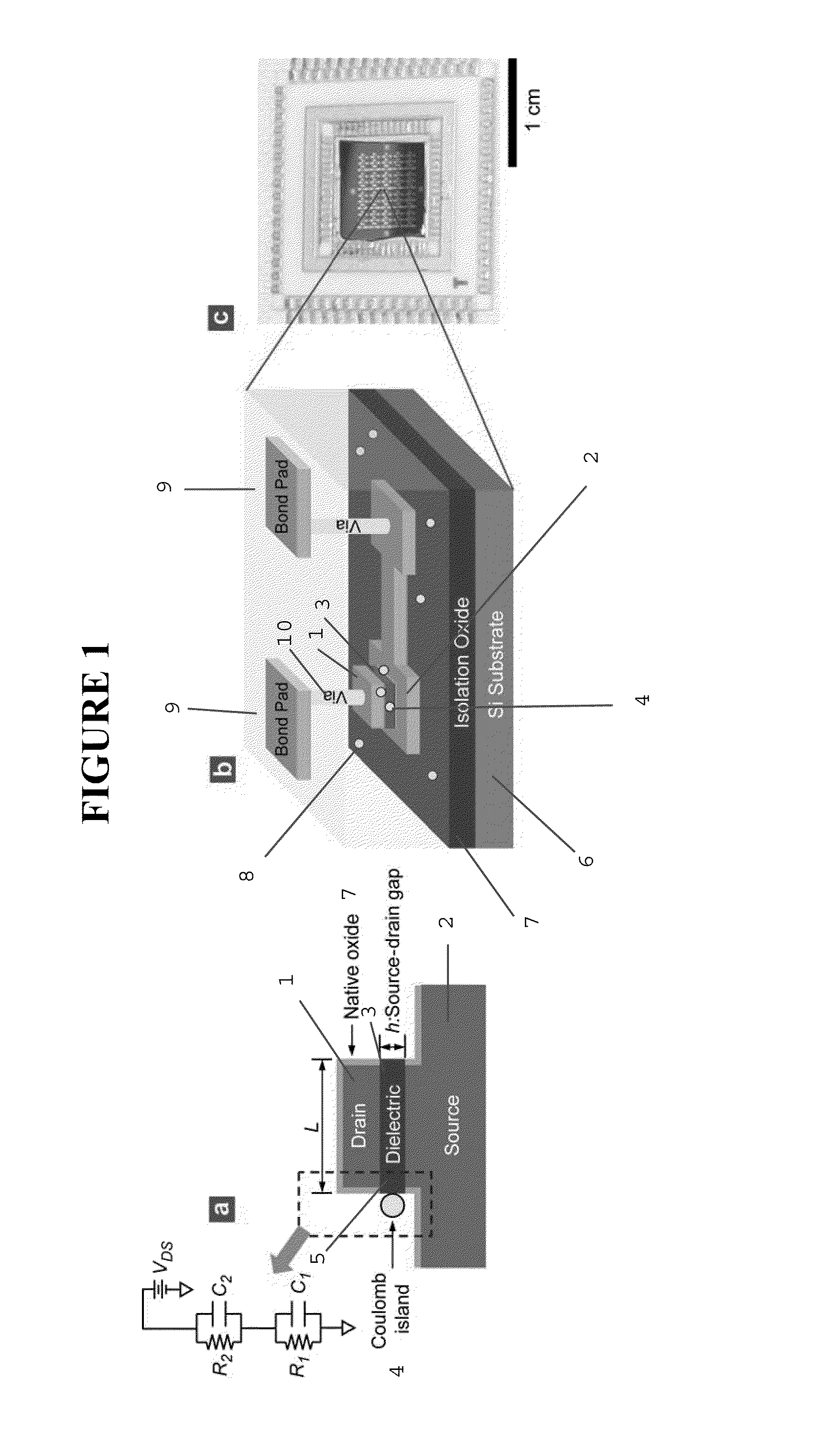 Nano-Scale Bridge Biosensors