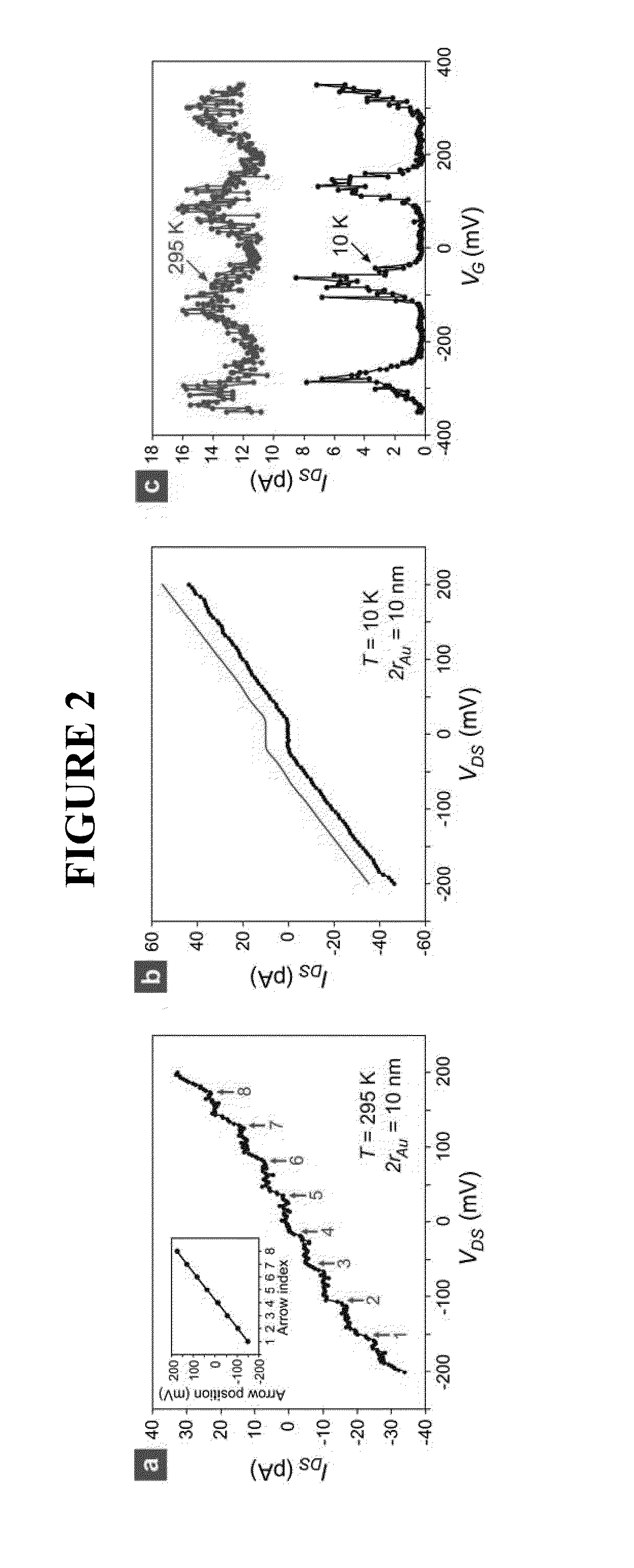 Nano-Scale Bridge Biosensors