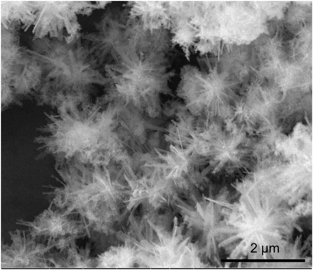 Preparation method for alpha-FeOOH three-dimensional multi-grade microsphere