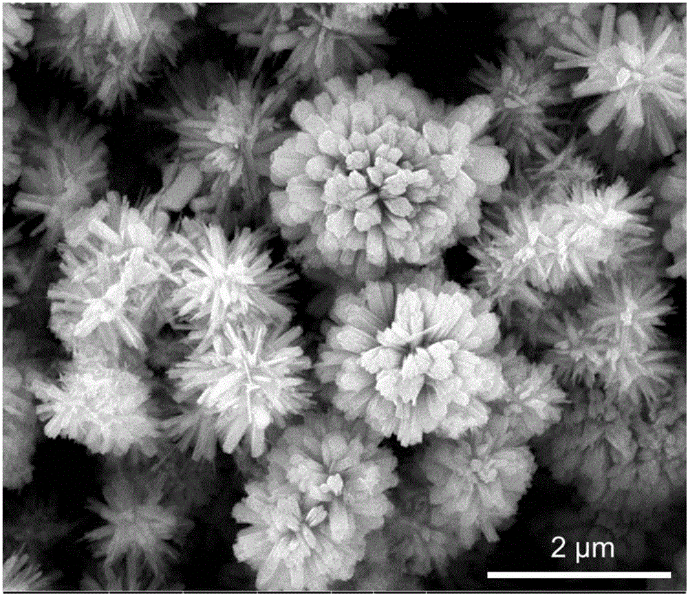 Preparation method for alpha-FeOOH three-dimensional multi-grade microsphere