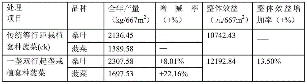 Cultivating method for planting low-trunk mulberry trees in two rows on one ridge and interplanting vegetables