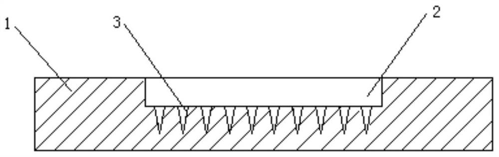 A pertussis vaccine microneedle array and preparation method thereof