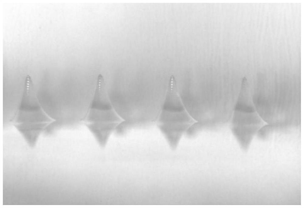 A pertussis vaccine microneedle array and preparation method thereof