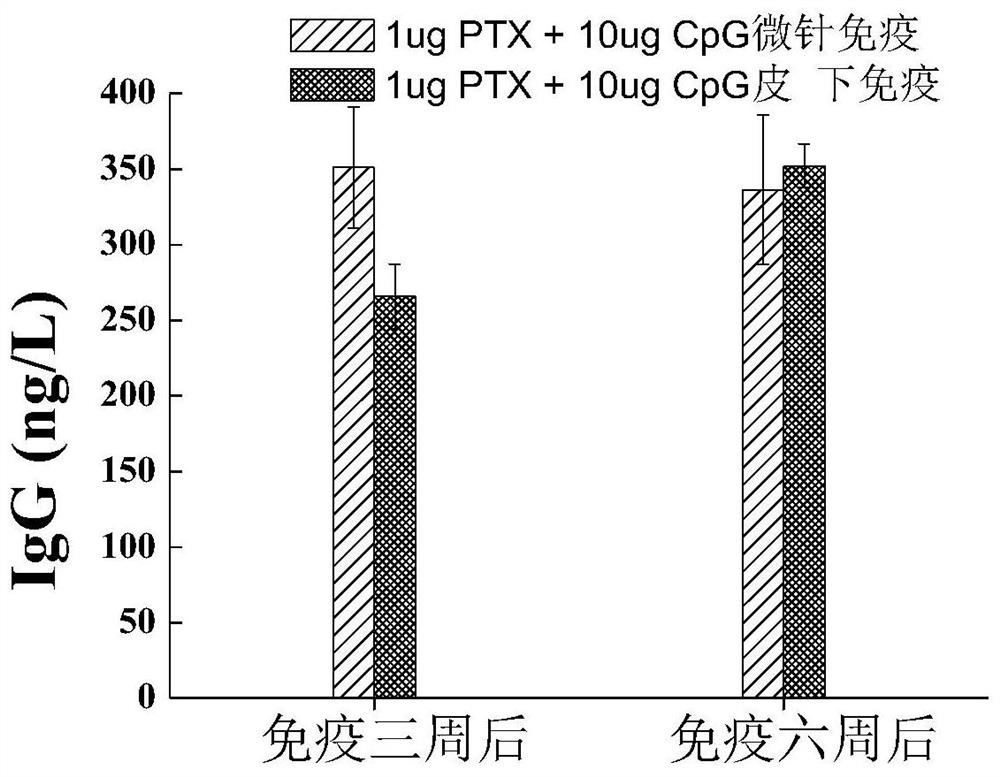 A pertussis vaccine microneedle array and preparation method thereof