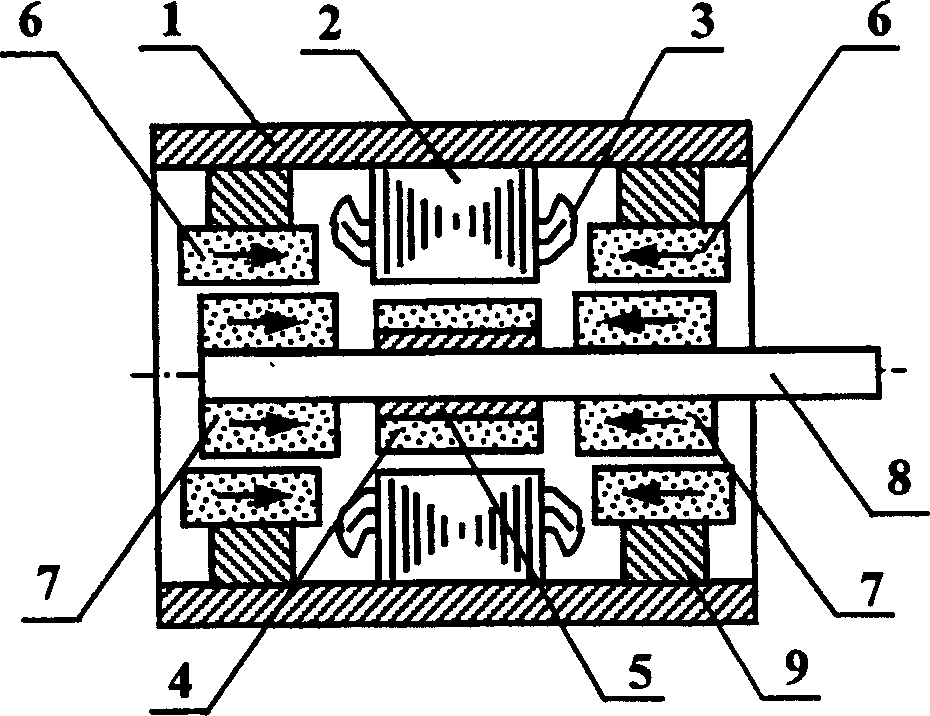 Passive magnetic suspension brushless D.C. motor