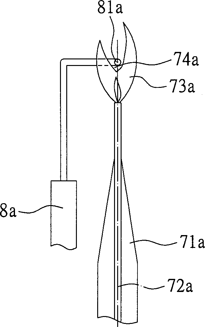 Water heater with anoxybiotic state testing function and testing method thereof