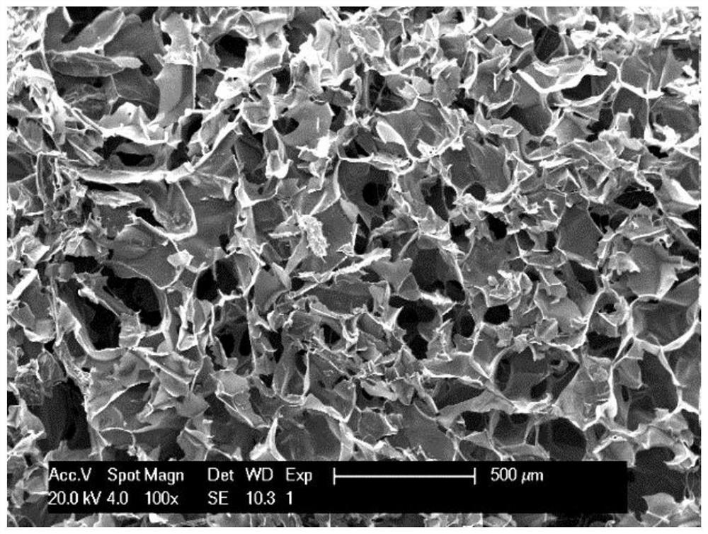 Tannic acid cross-linked chitosan/gelatin liquid-absorbing hemostatic antibacterial sponge and preparation method thereof