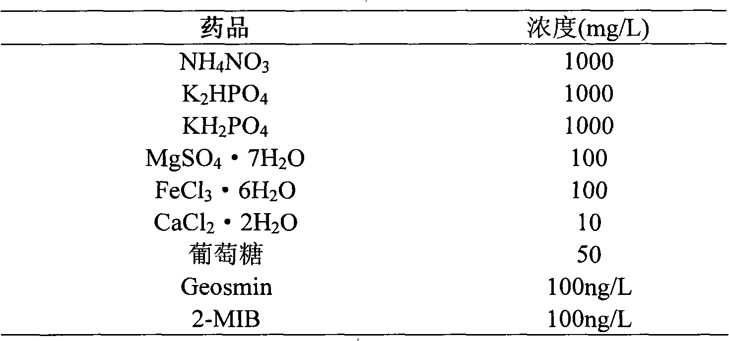 System and method for removing natural organic substances and odor-induced substances in micro polluted water