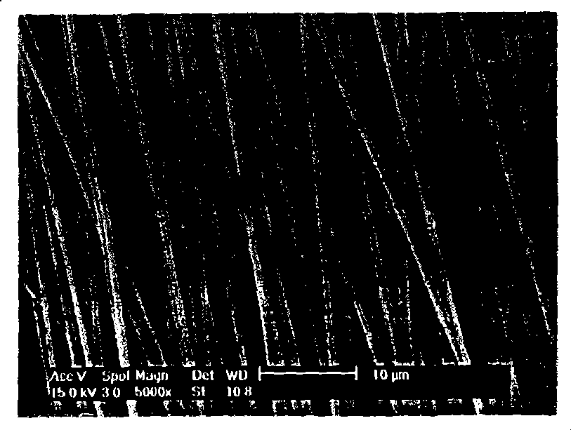 Suture thread containing bioactive components and preparation method thereof