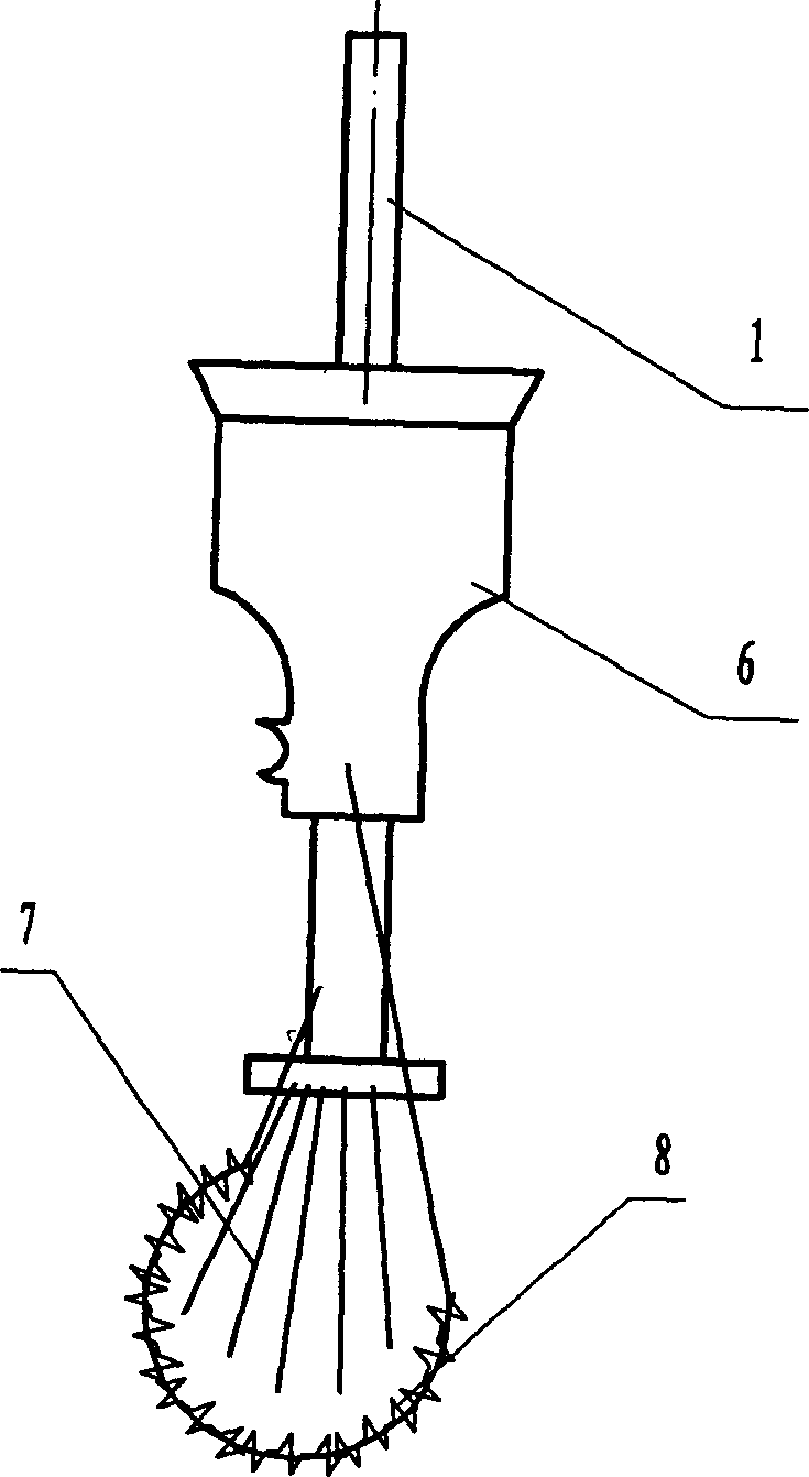 Technique for producing bulbs