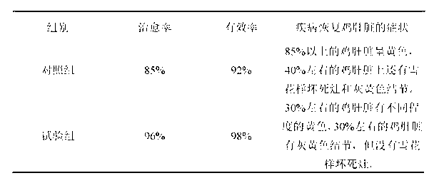 Composition for protecting poultry liver